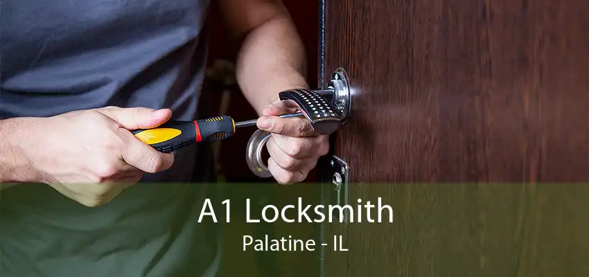 A1 Locksmith Palatine - IL