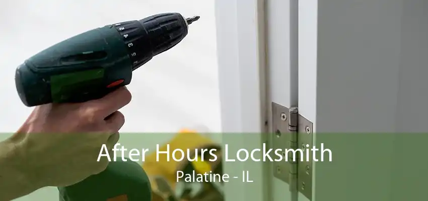 After Hours Locksmith Palatine - IL