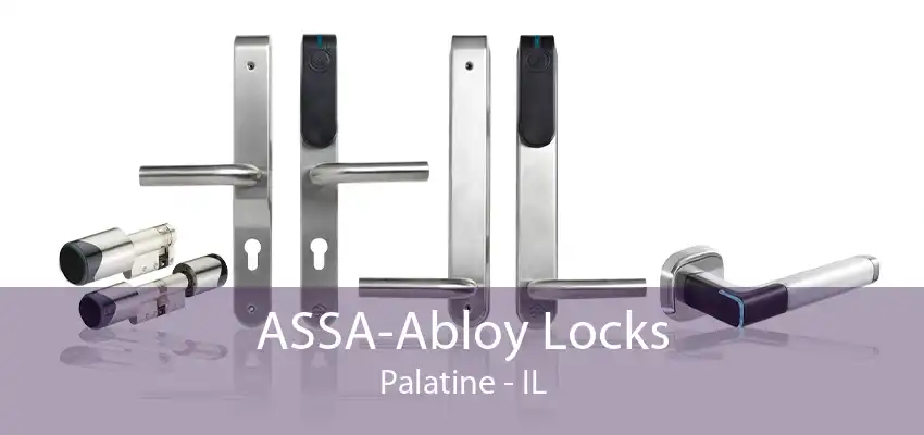 ASSA-Abloy Locks Palatine - IL