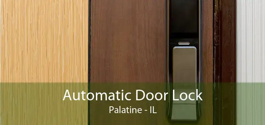 Automatic Door Lock Palatine - IL