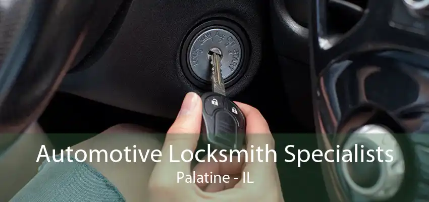 Automotive Locksmith Specialists Palatine - IL