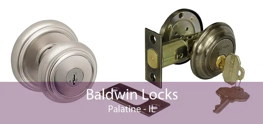 Baldwin Locks Palatine - IL