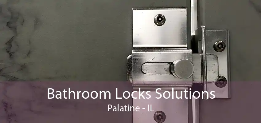 Bathroom Locks Solutions Palatine - IL