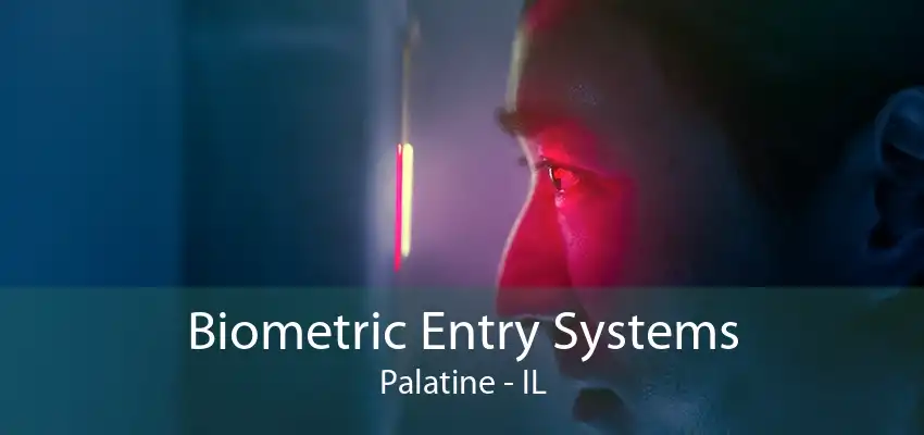 Biometric Entry Systems Palatine - IL