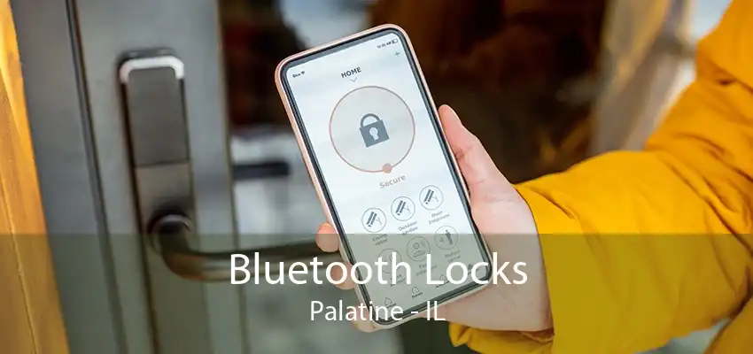 Bluetooth Locks Palatine - IL