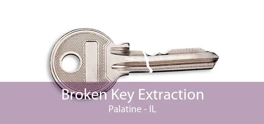 Broken Key Extraction Palatine - IL