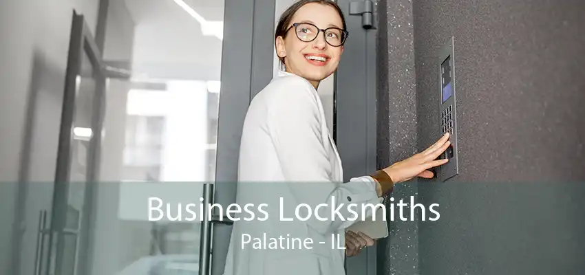 Business Locksmiths Palatine - IL