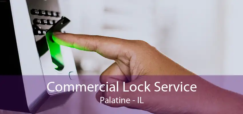 Commercial Lock Service Palatine - IL