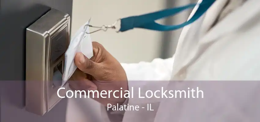 Commercial Locksmith Palatine - IL