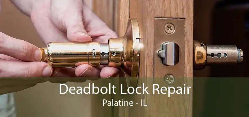 Deadbolt Lock Repair Palatine - IL