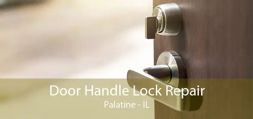 Door Handle Lock Repair Palatine - IL