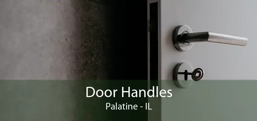 Door Handles Palatine - IL