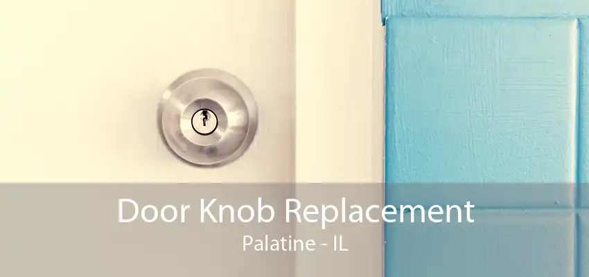 Door Knob Replacement Palatine - IL