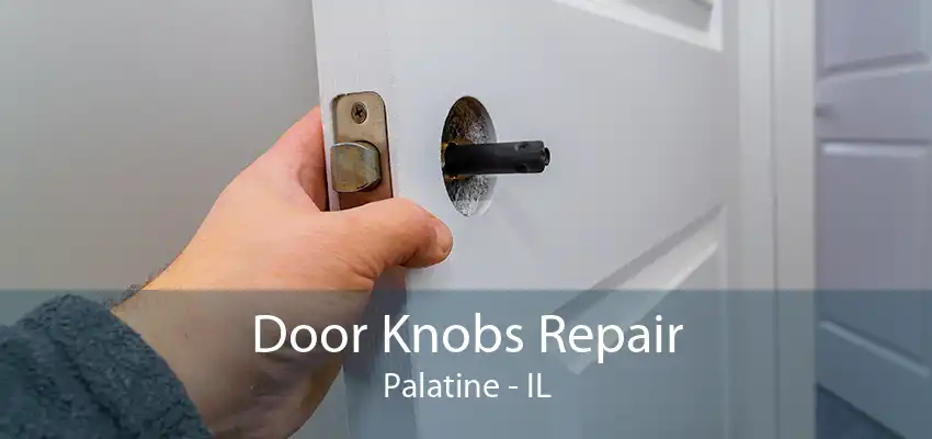 Door Knobs Repair Palatine - IL