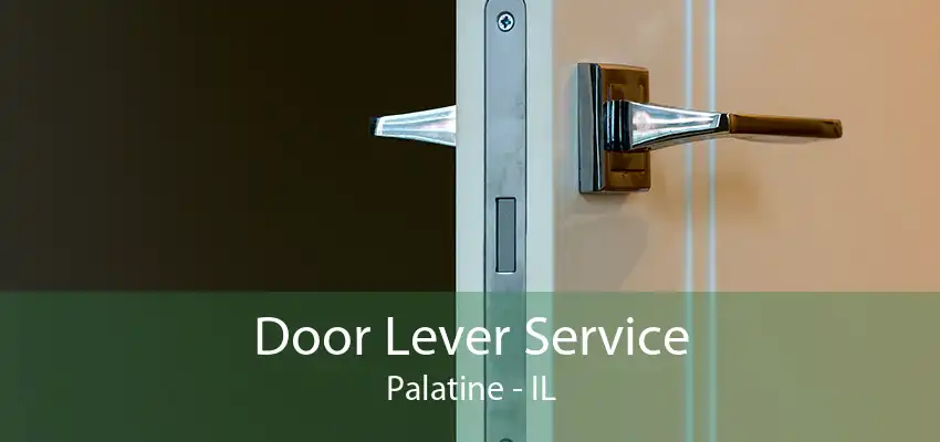 Door Lever Service Palatine - IL