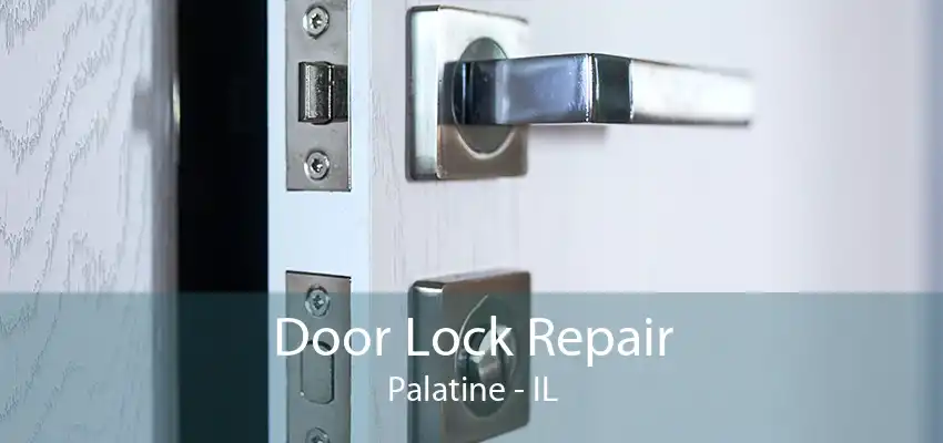 Door Lock Repair Palatine - IL