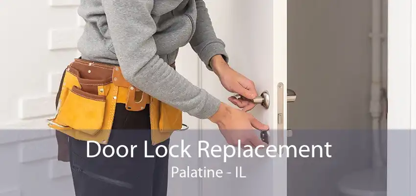 Door Lock Replacement Palatine - IL