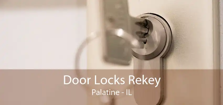 Door Locks Rekey Palatine - IL