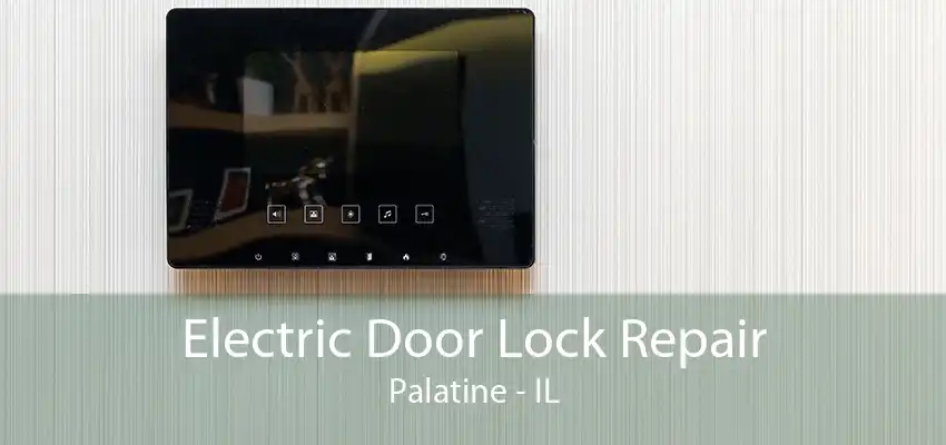 Electric Door Lock Repair Palatine - IL