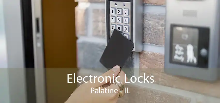 Electronic Locks Palatine - IL