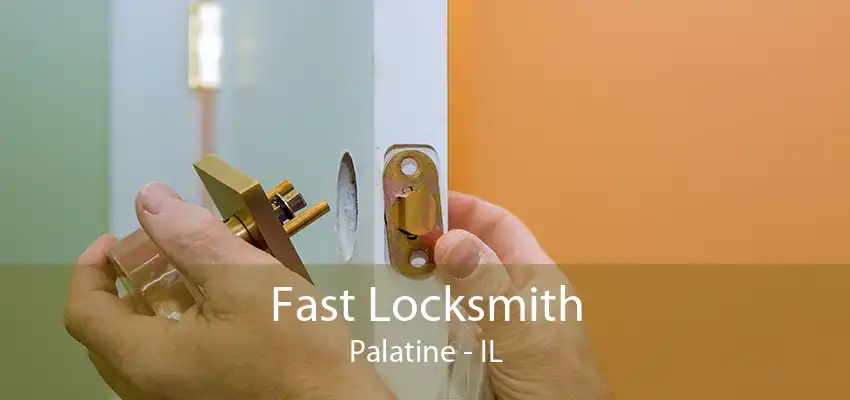 Fast Locksmith Palatine - IL