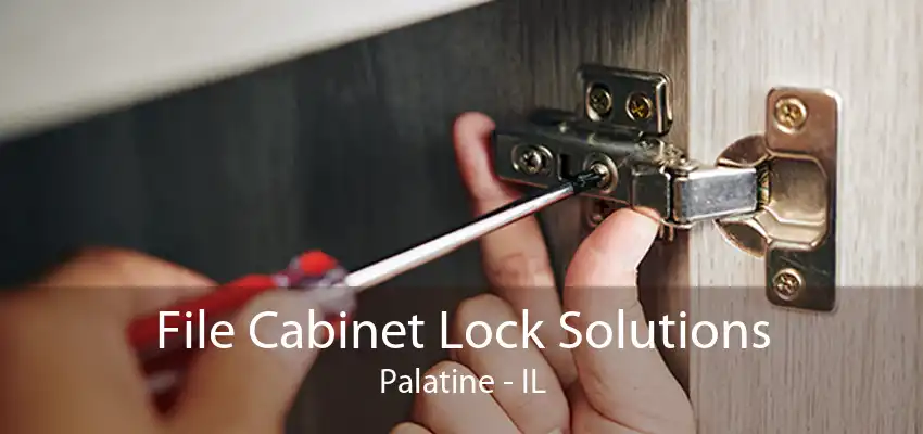 File Cabinet Lock Solutions Palatine - IL