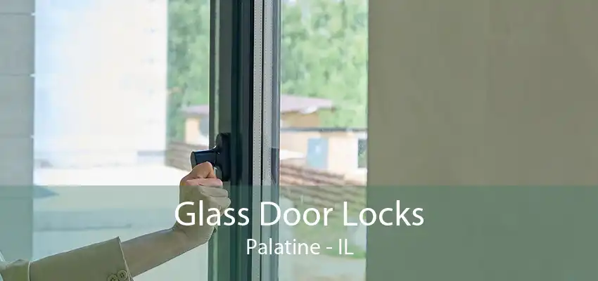 Glass Door Locks Palatine - IL