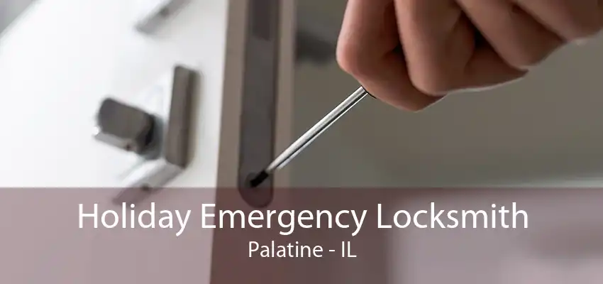 Holiday Emergency Locksmith Palatine - IL