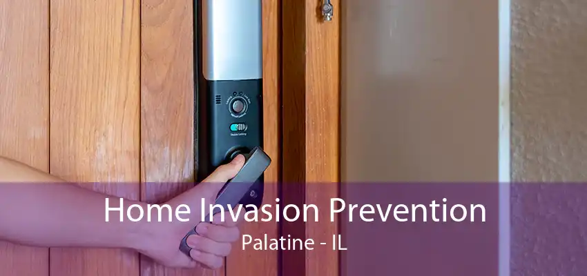 Home Invasion Prevention Palatine - IL