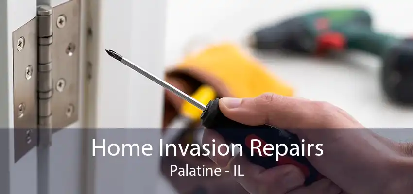 Home Invasion Repairs Palatine - IL