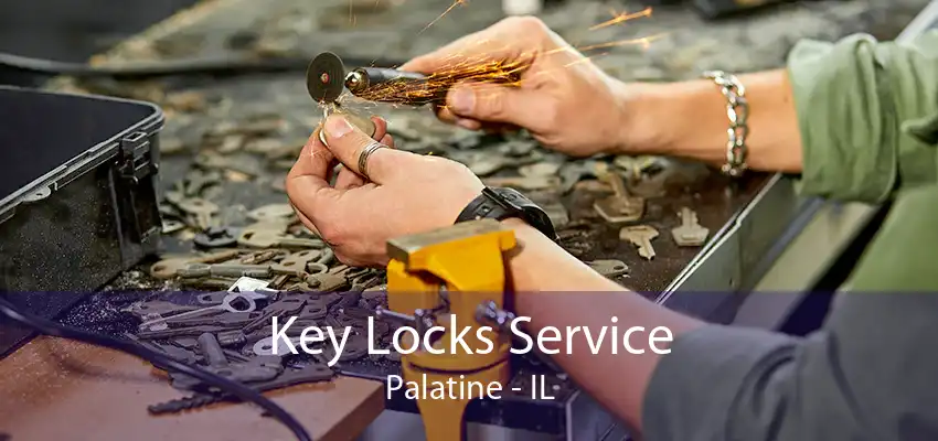 Key Locks Service Palatine - IL