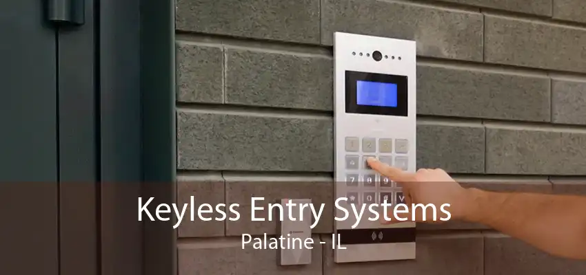 Keyless Entry Systems Palatine - IL