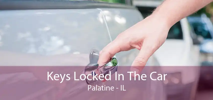 Keys Locked In The Car Palatine - IL