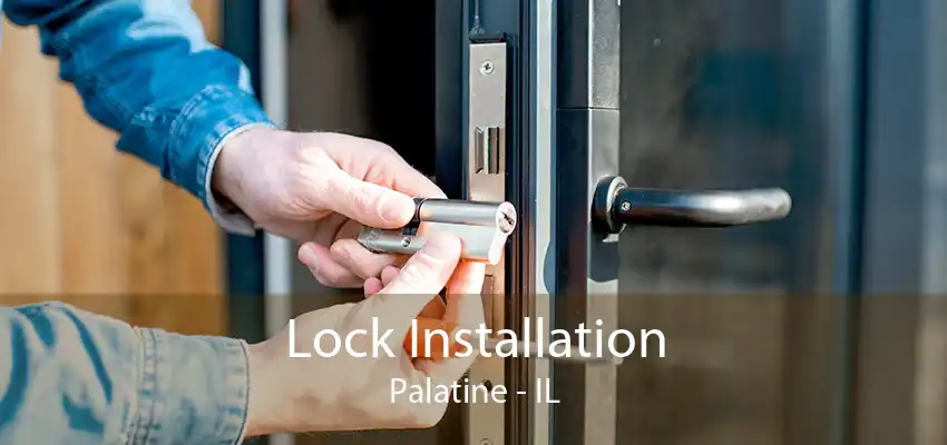 Lock Installation Palatine - IL