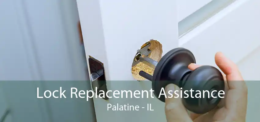 Lock Replacement Assistance Palatine - IL