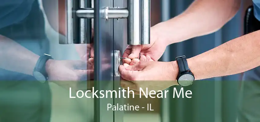 Locksmith Near Me Palatine - IL