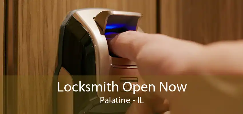 Locksmith Open Now Palatine - IL