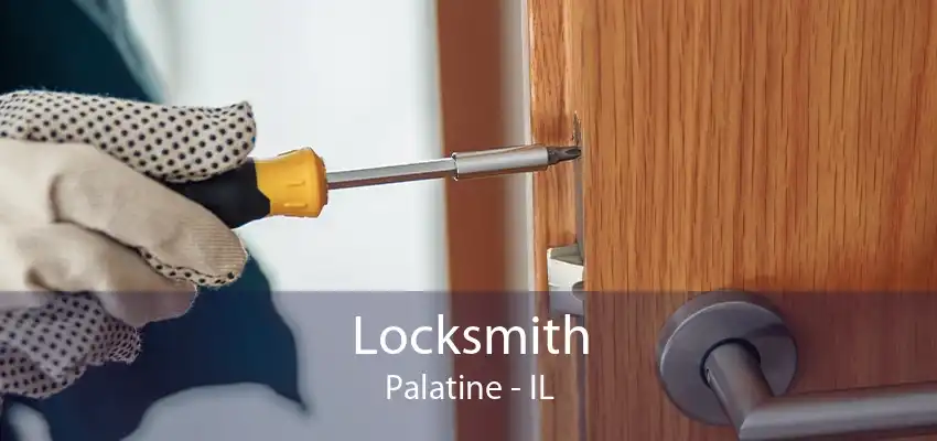 Locksmith Palatine - IL