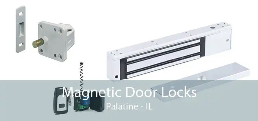 Magnetic Door Locks Palatine - IL