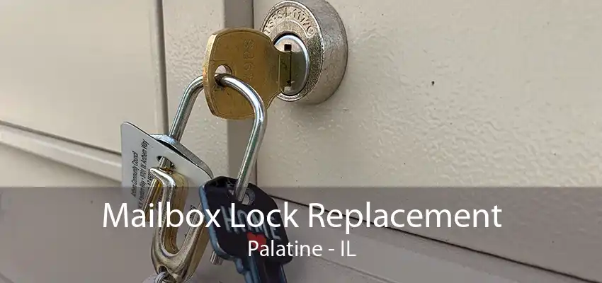 Mailbox Lock Replacement Palatine - IL