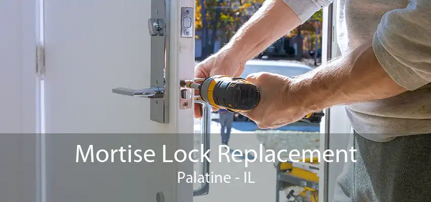 Mortise Lock Replacement Palatine - IL