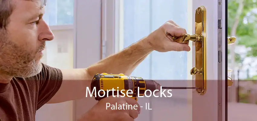 Mortise Locks Palatine - IL