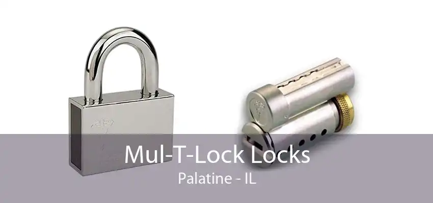 Mul-T-Lock Locks Palatine - IL