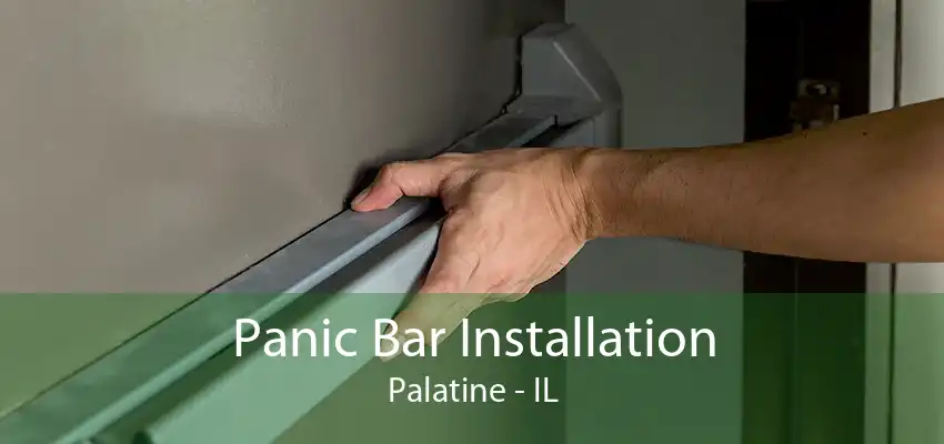 Panic Bar Installation Palatine - IL