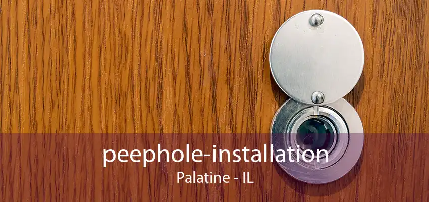 peephole-installation Palatine - IL