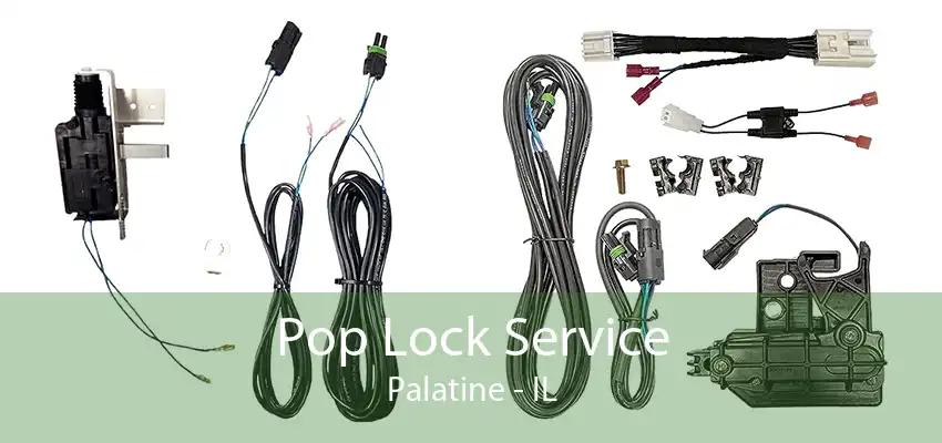 Pop Lock Service Palatine - IL