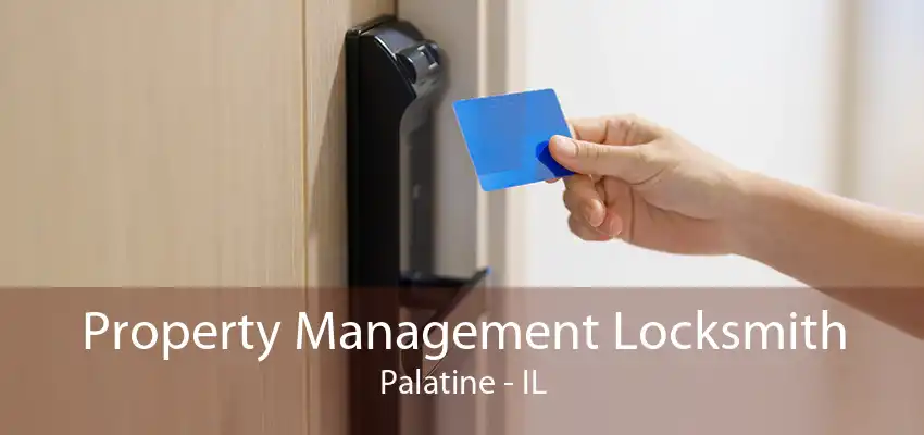 Property Management Locksmith Palatine - IL