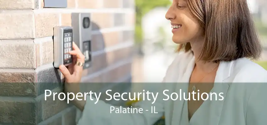 Property Security Solutions Palatine - IL