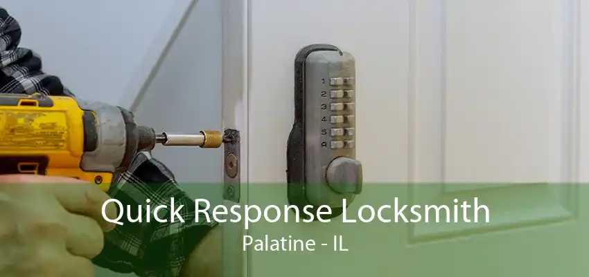 Quick Response Locksmith Palatine - IL