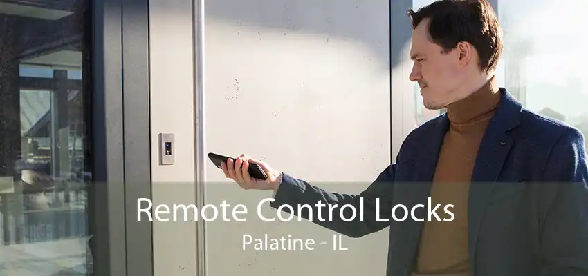 Remote Control Locks Palatine - IL